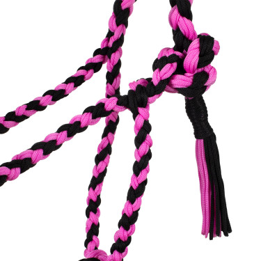 Gevlochten Nylon Halster Pool's Zwart / roze