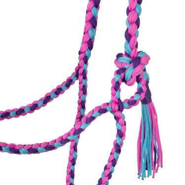 Gevlochten Nylon Halster Pool's Roze / lichtblauw / paars Multicolor