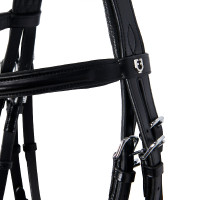 Lederen Hoofdstel Evolution zonder Dubbele Teugels Equestro Zwart