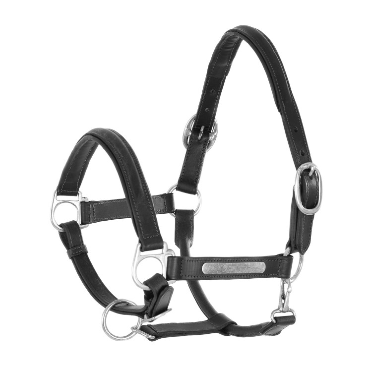 Leren Halster met Messing Gespen Umbria Equitazione