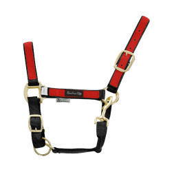 Nylon halster met Gekleurde Delen Umbria Equitazione