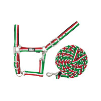 Nylon Halster Tricolor met Supreme Longeerlijn Groen / wit / rood Multicolor