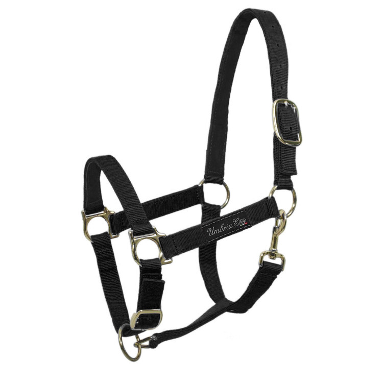 Nylon halster met lederen versteviging Umbria Equitazione
