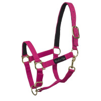 Licol en Nylon avec Renfort en Cuir Umbria Equitazione Fuchsia