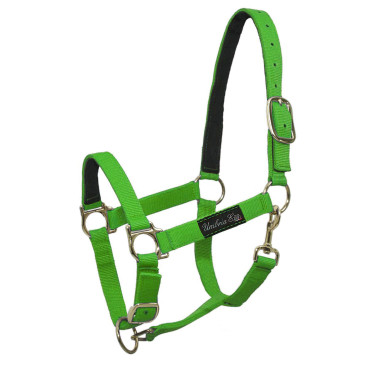 Nylon halster met lederen versteviging Umbria Equitazione Citroen Geel