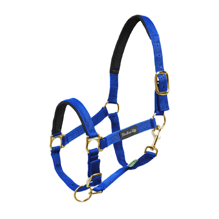 Nylon halster met neopreen versteviging Umbria Equitazione Nylon halster met neopreen versteviging Umbria Equitazione