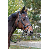 Bridon Classic zwart van leer