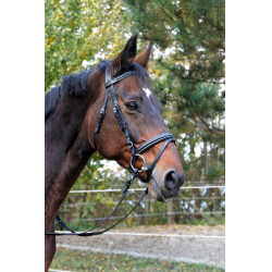 Bridon Classic zwart van leer