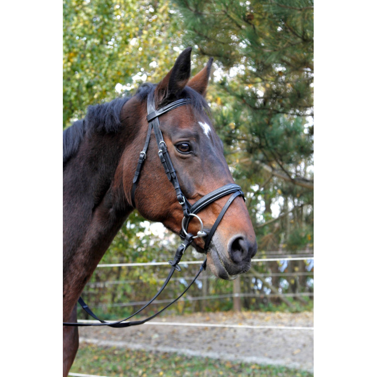 Bridon Classic zwart van leer