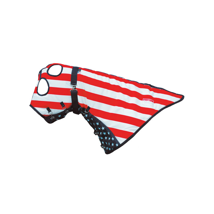 Nekbedekking 350g voor Dek USA Stars CO00276 Umbria Equitazione Nekbedekking 350g voor Dek USA Stars CO00276 Umbria Equitazione