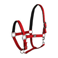 Nylon Supreme Halster met Zachte Voering, Neusriem en Bovensluiting Rood