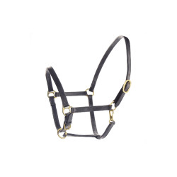 Lederen Zweedse Halster Umbria Equitazione