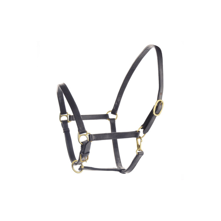 Lederen Zweedse Halster Umbria Equitazione