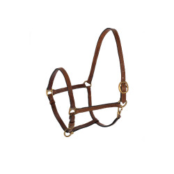 Lederen Zweedse Halster Umbria Equitazione Lederen Zweedse Halster Umbria Equitazione
