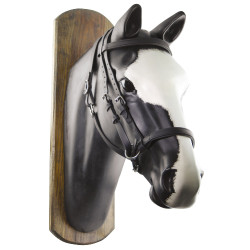 Bridon Biothane Horse Ball met Teugels Umbria Equitazione