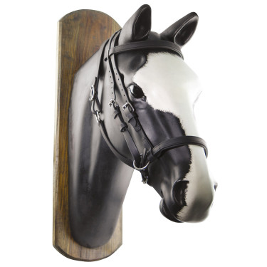 Bridon Biothane Horse Ball met Teugels Umbria Equitazione