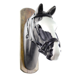 Bitloos Hoofdstel Horse Ball met Teugels Umbria Equitazione