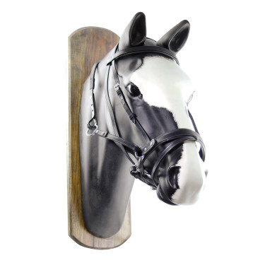 Bitloos Hoofdstel Horse Ball met Teugels Umbria Equitazione