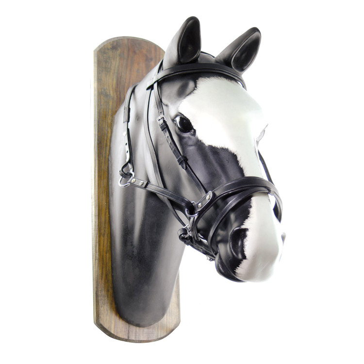 Bitloos Hoofdstel Horse Ball met Teugels Umbria Equitazione
