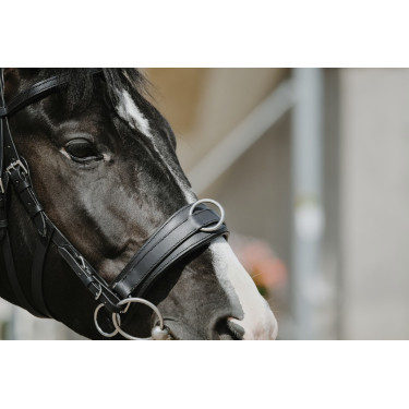 Brede cavesson Norton Brede cavesson Norton