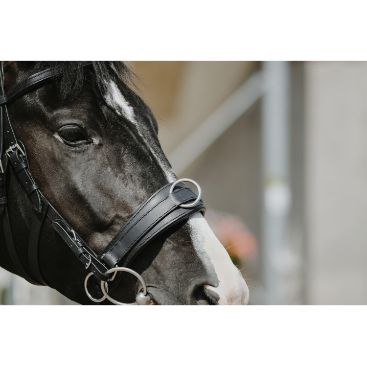 Brede cavesson Norton Brede cavesson Norton