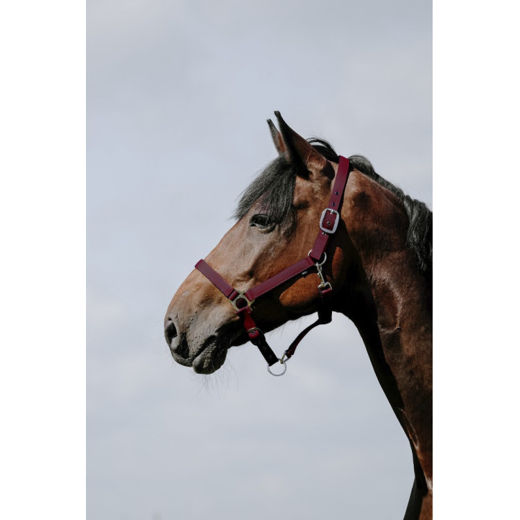 Halster Riding World Cushion