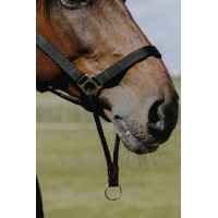 Norton Educatief Halster Zwart Norton Educatief Halster Zwart