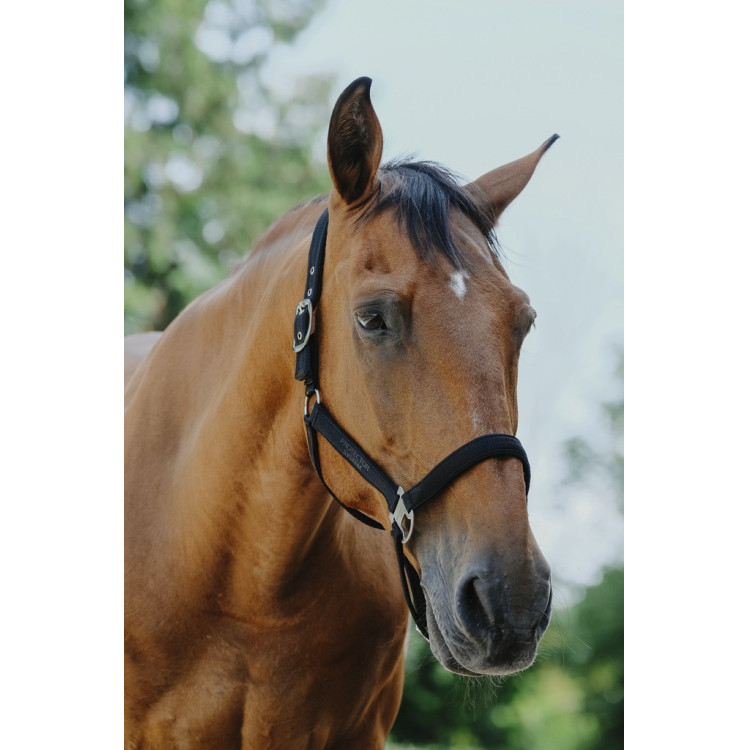 Nylon halster Equithème Protector Nylon halster Equithème Protector
