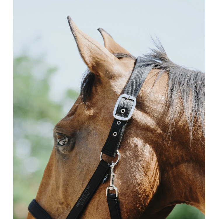 Nylon halster Equithème Protector Nylon halster Equithème Protector