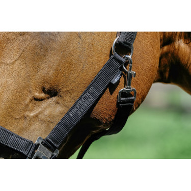 Nylon halster Equithème Protector Nylon halster Equithème Protector