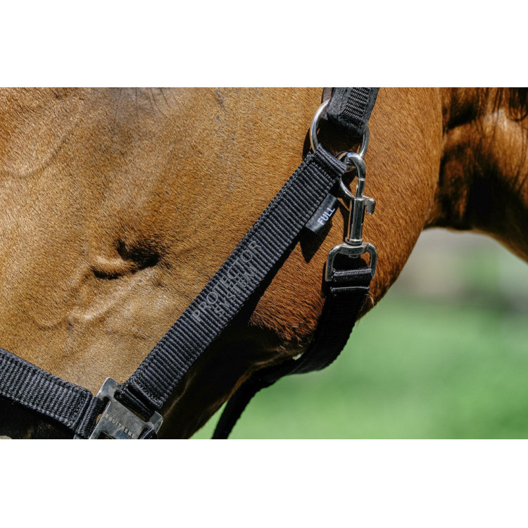Nylon halster Equithème Protector Nylon halster Equithème Protector