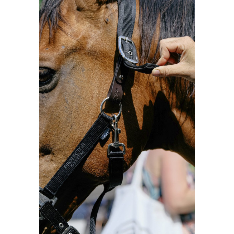 Nylon halster Equithème Protector Nylon halster Equithème Protector