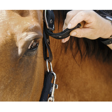 Nylon halster Equithème Protector Nylon halster Equithème Protector