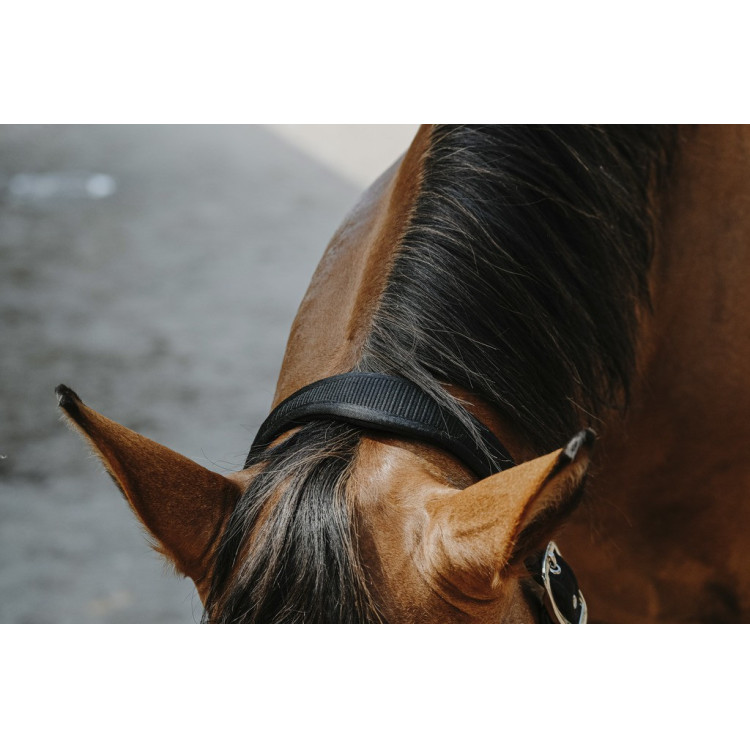 Nylon halster Equithème Protector Nylon halster Equithème Protector