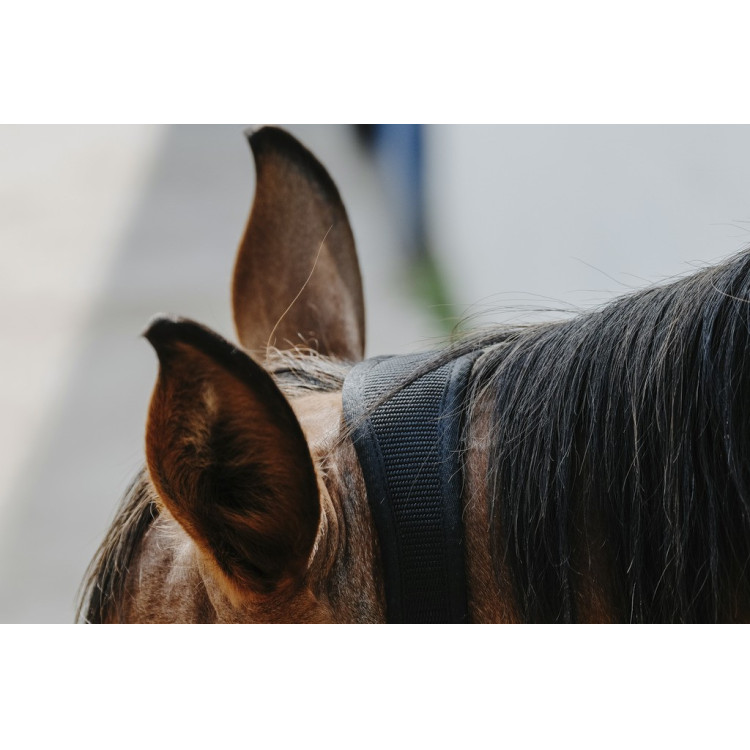Nylon halster Equithème Protector Nylon halster Equithème Protector