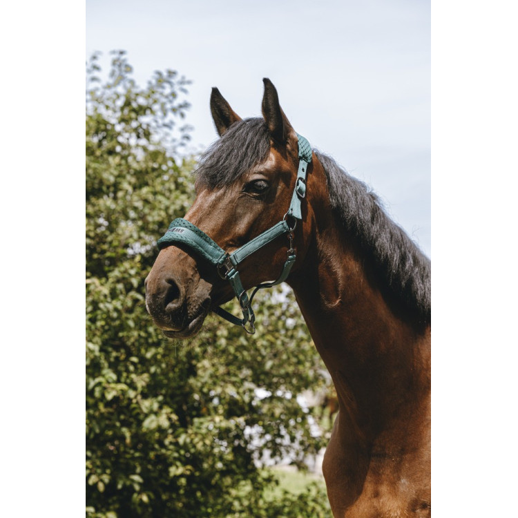 Nylon halster Equithème 3D Mesh Nylon halster Equithème 3D Mesh
