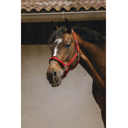 Nylon halster Equithème Jacquard Nylon halster Equithème Jacquard