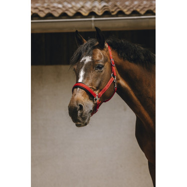Nylon halster Equithème Jacquard Nylon halster Equithème Jacquard