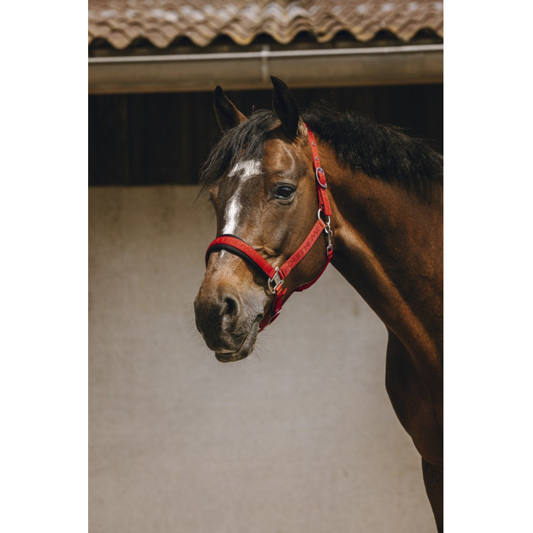 Nylon halster Equithème Jacquard Nylon halster Equithème Jacquard