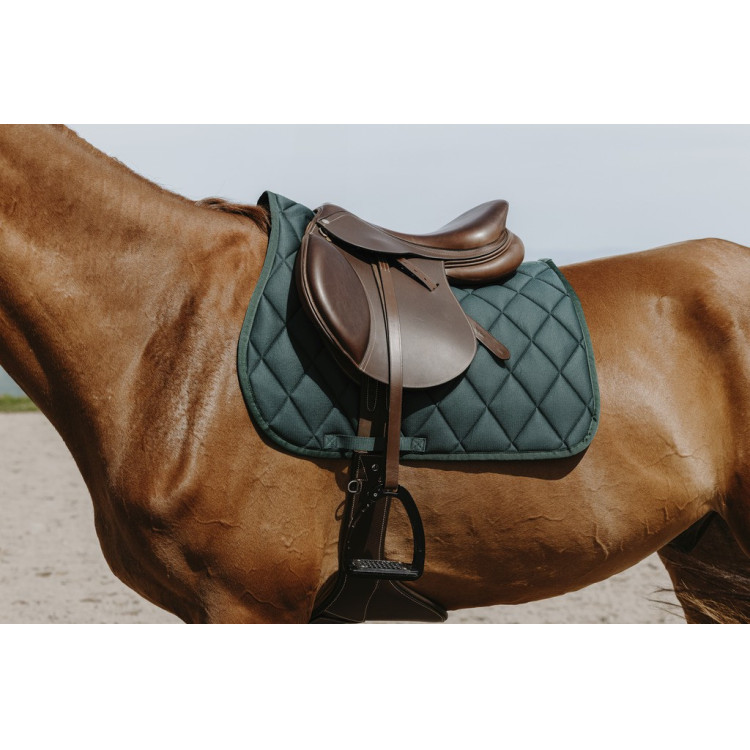 Zadeldoek Riding World School Zadeldoek Riding World School
