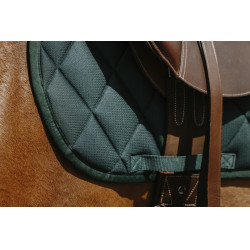 Zadeldoek Riding World School Zadeldoek Riding World School
