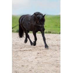 Lange teugels Imperial Riding Free Ride fijn Lange teugels Imperial Riding Free Ride fijn