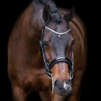 Brida Imperial Riding Olympia Zwart / zilver