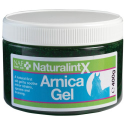 Arnica Gel NaturalintX NAF