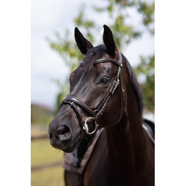 Filet hoofdstel Nature Made Leisure Horze Espressobruin