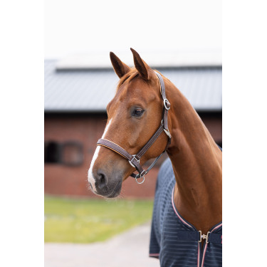 Leren halster Physical Sophistication Horze Leren halster Physical Sophistication Horze