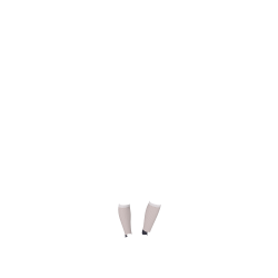 LeMieux Footsie Sokken LeMieux Footsie Sokken