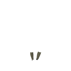 LeMieux Footsie Sokken LeMieux Footsie Sokken