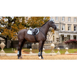 LeMieux Suede Close Contact Vierkant Zadeldek Gletsjer Blauw LeMieux Suede Close Contact Vierkant Zadeldek Gletsjer Blauw