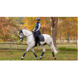 LeMieux Loire Classic Dressuur Vierkant Petrol Blauw
